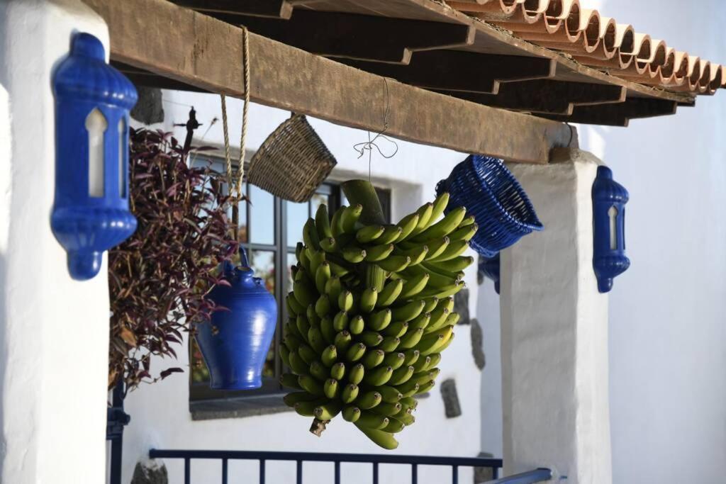 Finca Angelus Apartment Syrah With Amazing Views La Matanza De Acentejo Exterior photo